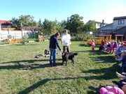 Sorbon - pes fotbalista